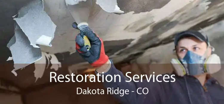 Restoration Services Dakota Ridge - CO