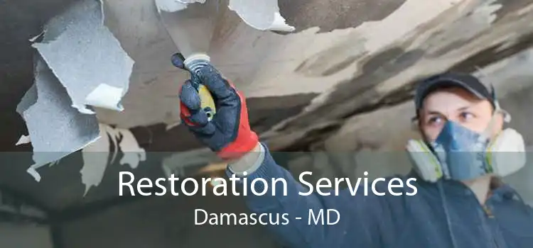 Restoration Services Damascus - MD