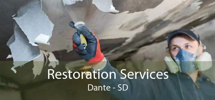 Restoration Services Dante - SD