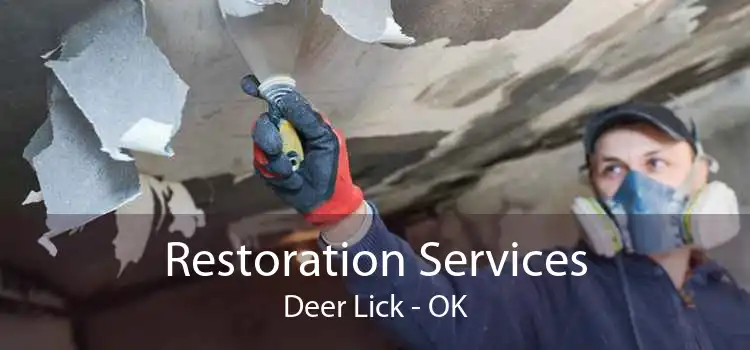 Restoration Services Deer Lick - OK