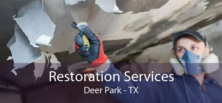 Restoration Services Deer Park - TX