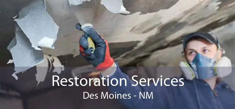 Restoration Services Des Moines - NM