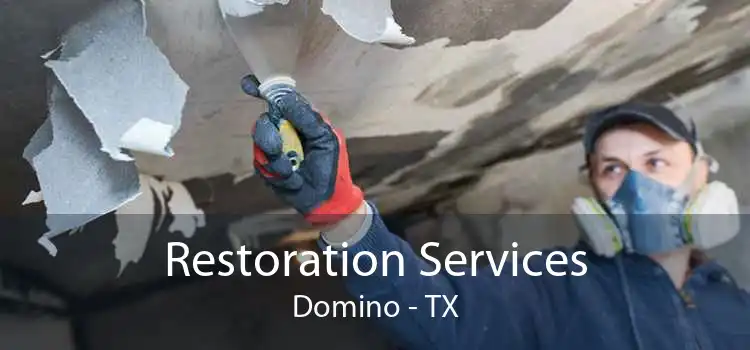 Restoration Services Domino - TX
