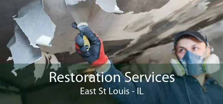 Restoration Services East St Louis - IL