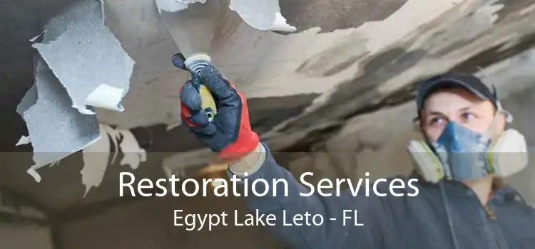 Restoration Services Egypt Lake Leto - FL