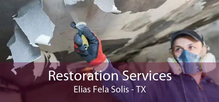 Restoration Services Elias Fela Solis - TX