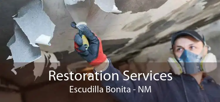 Restoration Services Escudilla Bonita - NM