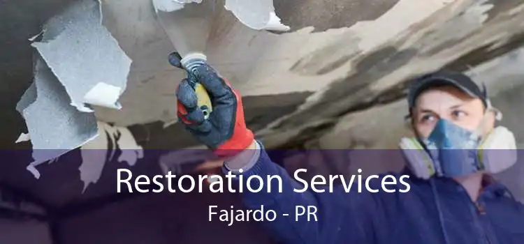 Restoration Services Fajardo - PR