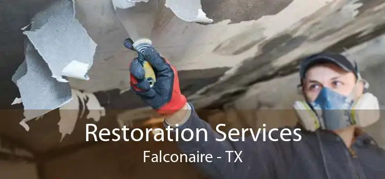Restoration Services Falconaire - TX