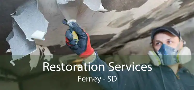 Restoration Services Ferney - SD