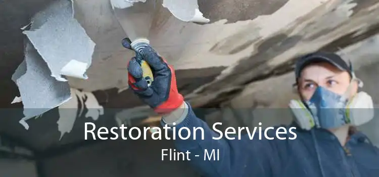 Restoration Services Flint - MI