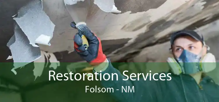 Restoration Services Folsom - NM