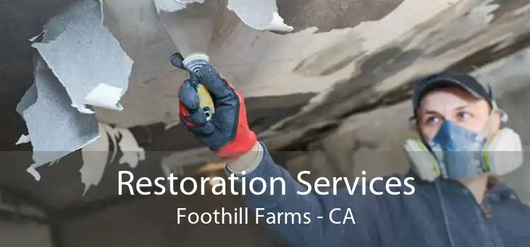 Restoration Services Foothill Farms - CA