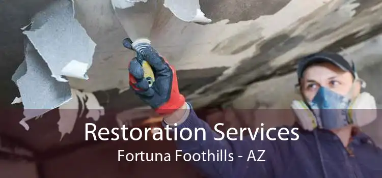 Restoration Services Fortuna Foothills - AZ