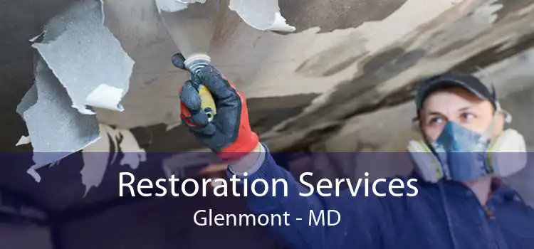 Restoration Services Glenmont - MD