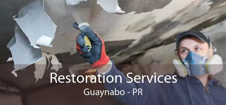 Restoration Services Guaynabo - PR