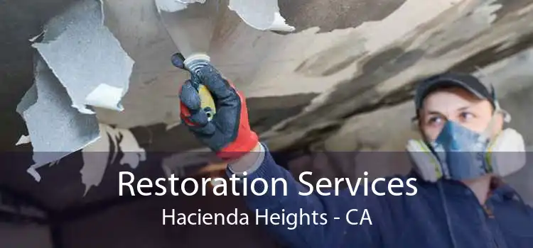 Restoration Services Hacienda Heights - CA