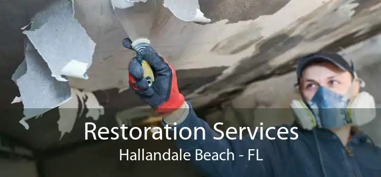 Restoration Services Hallandale Beach - FL