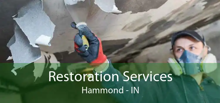 Restoration Services Hammond - IN