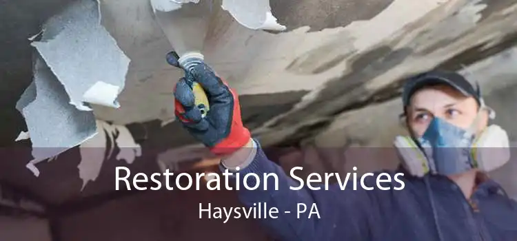 Restoration Services Haysville - PA