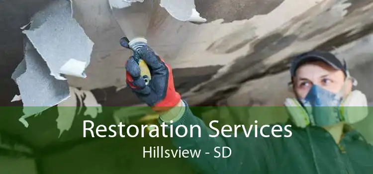 Restoration Services Hillsview - SD