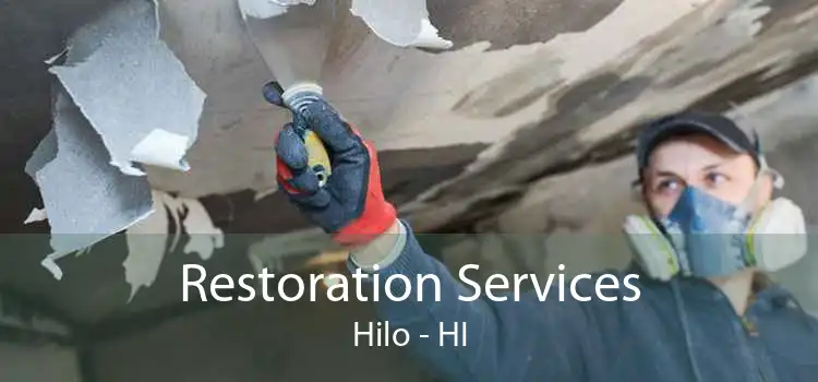 Restoration Services Hilo - HI