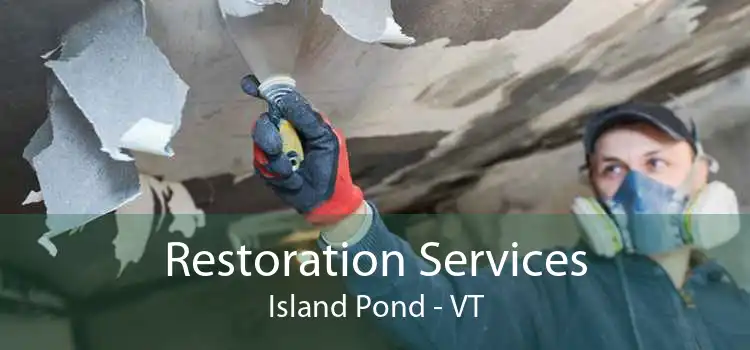 Restoration Services Island Pond - VT