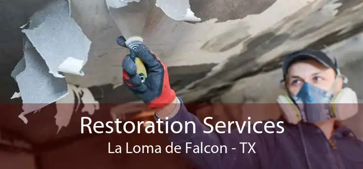 Restoration Services La Loma de Falcon - TX