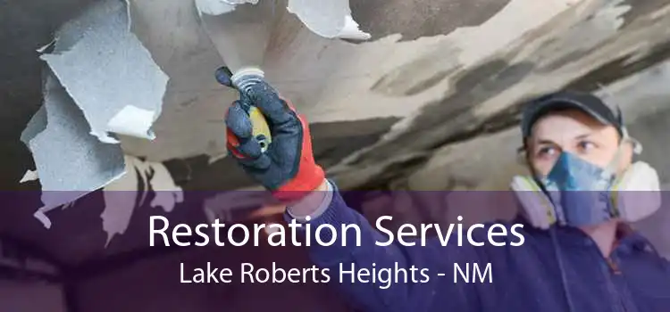 Restoration Services Lake Roberts Heights - NM