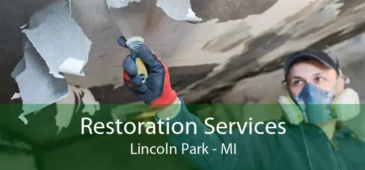 Restoration Services Lincoln Park - MI