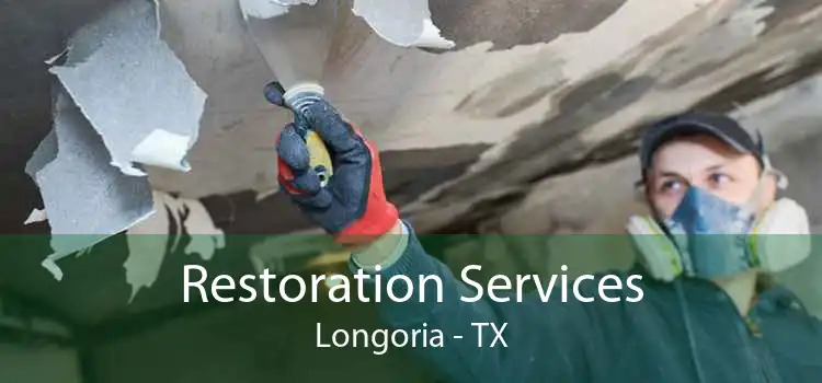 Restoration Services Longoria - TX