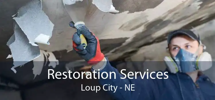 Restoration Services Loup City - NE