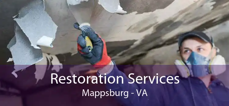 Restoration Services Mappsburg - VA