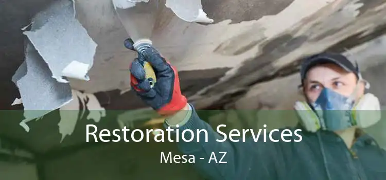 Restoration Services Mesa - AZ