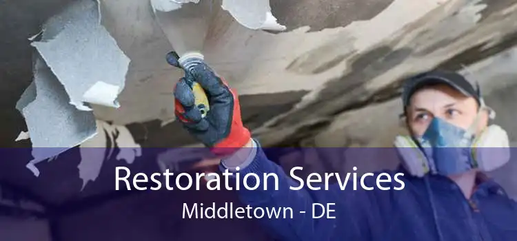 Restoration Services Middletown - DE