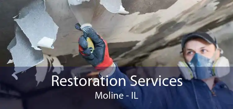 Restoration Services Moline - IL