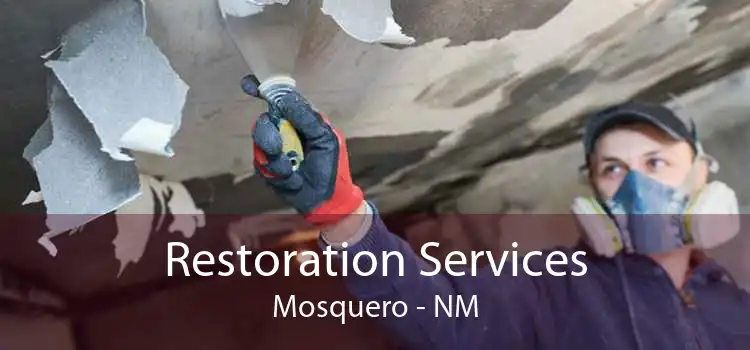 Restoration Services Mosquero - NM