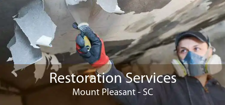 Restoration Services Mount Pleasant - SC