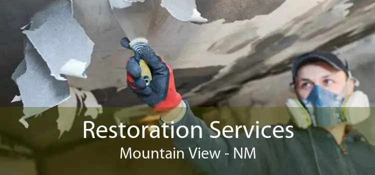 Restoration Services Mountain View - NM