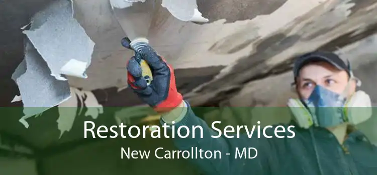 Restoration Services New Carrollton - MD