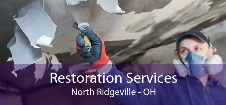 Restoration Services North Ridgeville - OH