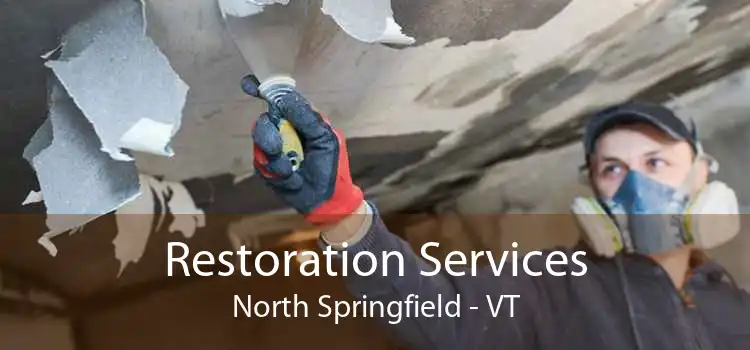 Restoration Services North Springfield - VT