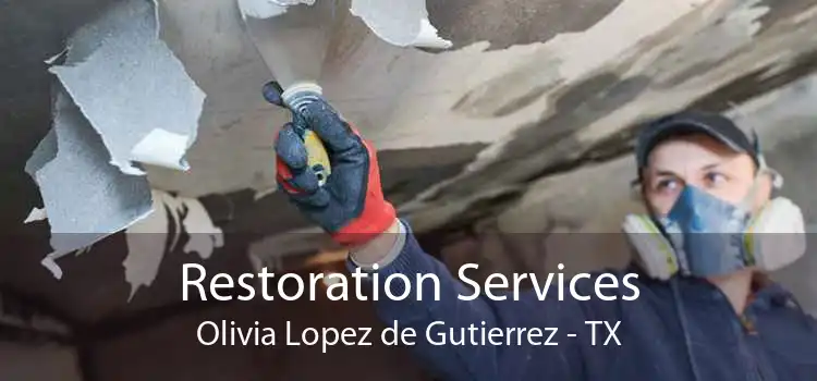 Restoration Services Olivia Lopez de Gutierrez - TX