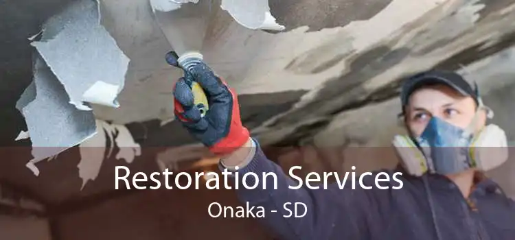 Restoration Services Onaka - SD