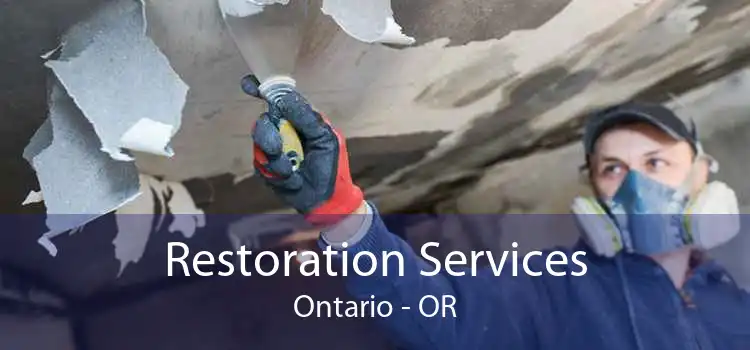 Restoration Services Ontario - OR