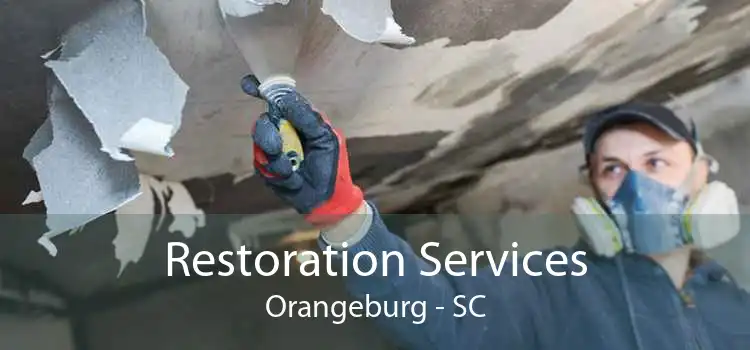 Restoration Services Orangeburg - SC
