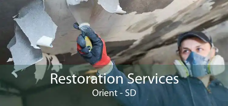 Restoration Services Orient - SD