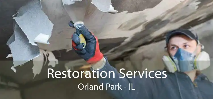 Restoration Services Orland Park - IL