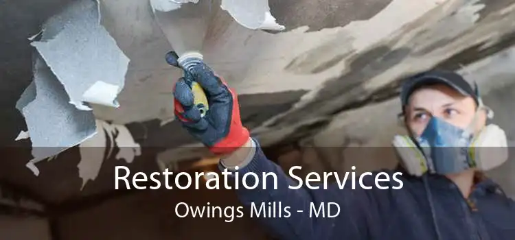 Restoration Services Owings Mills - MD