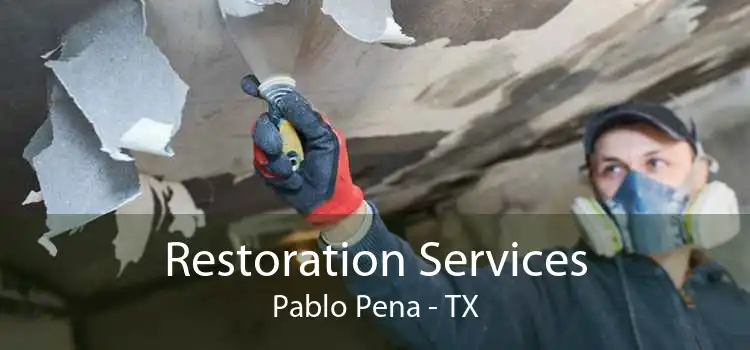 Restoration Services Pablo Pena - TX